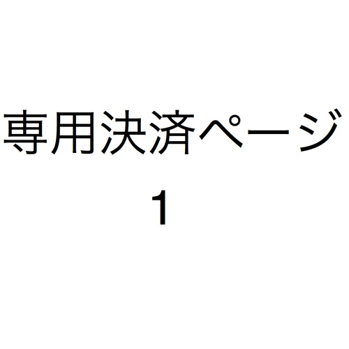 遠方のお客様　決済　専用ページ 　Jx1